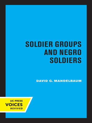 cover image of Soldier Groups and Negro Soldiers